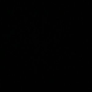 Meet your Posher, Tyson